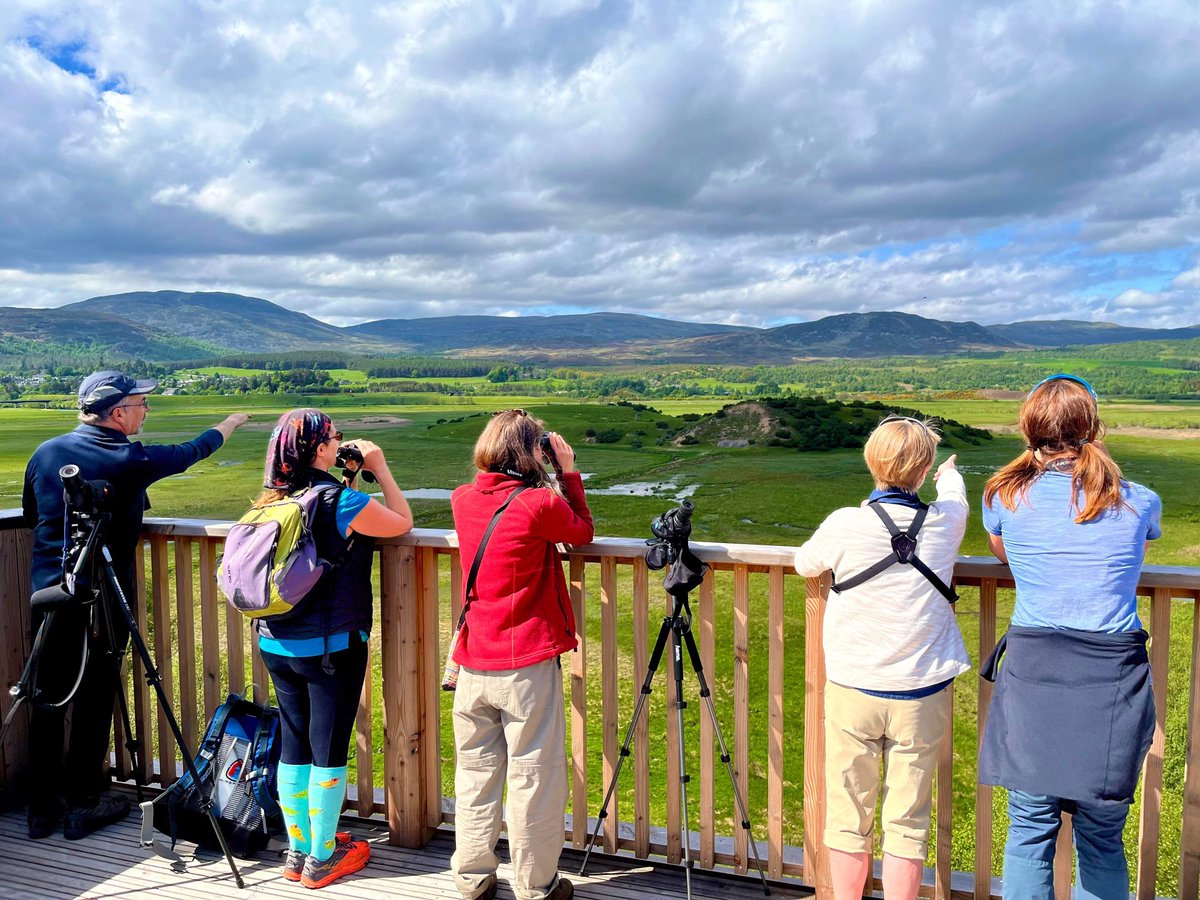 Last weekend was our 2-day Birdsongs &amp; Calls Masterclass, taught by Duncan.
We one more of our Masterclasses running this year - Raptors 21-22 Sept, we only have a few places left so check more info here wildlifeidcourses.co.uk/raptors-master…
📷D Macdonald