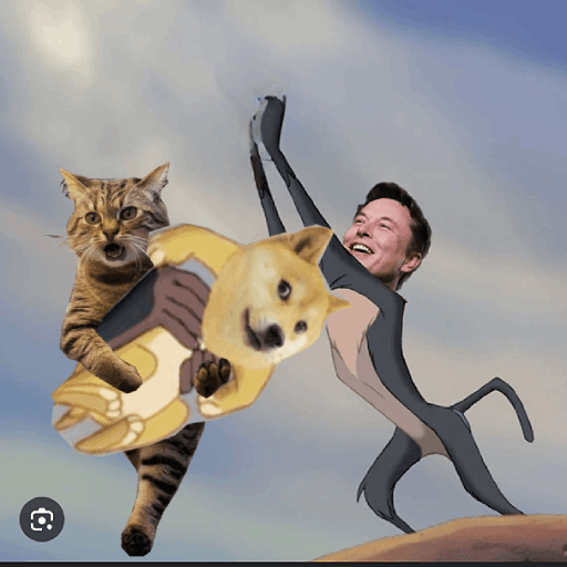 thisisdjen's tweet photo. Elon musk... https://t.co/qFqEkYR7nn