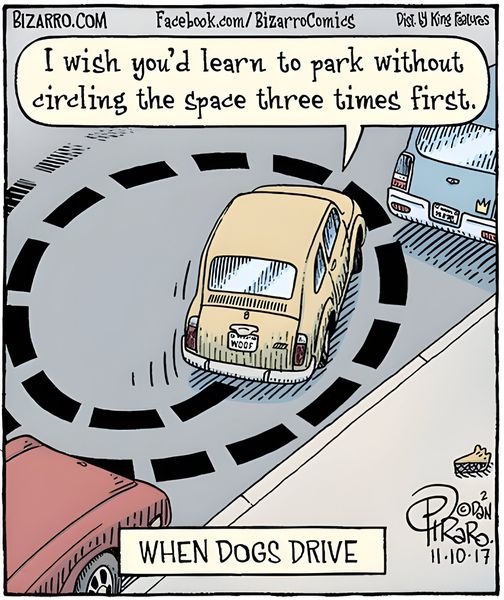 For Funny Friday... 'When Dogs Drive'.

#Humor #ChurchHumor #DogHumor #FunnyFriday