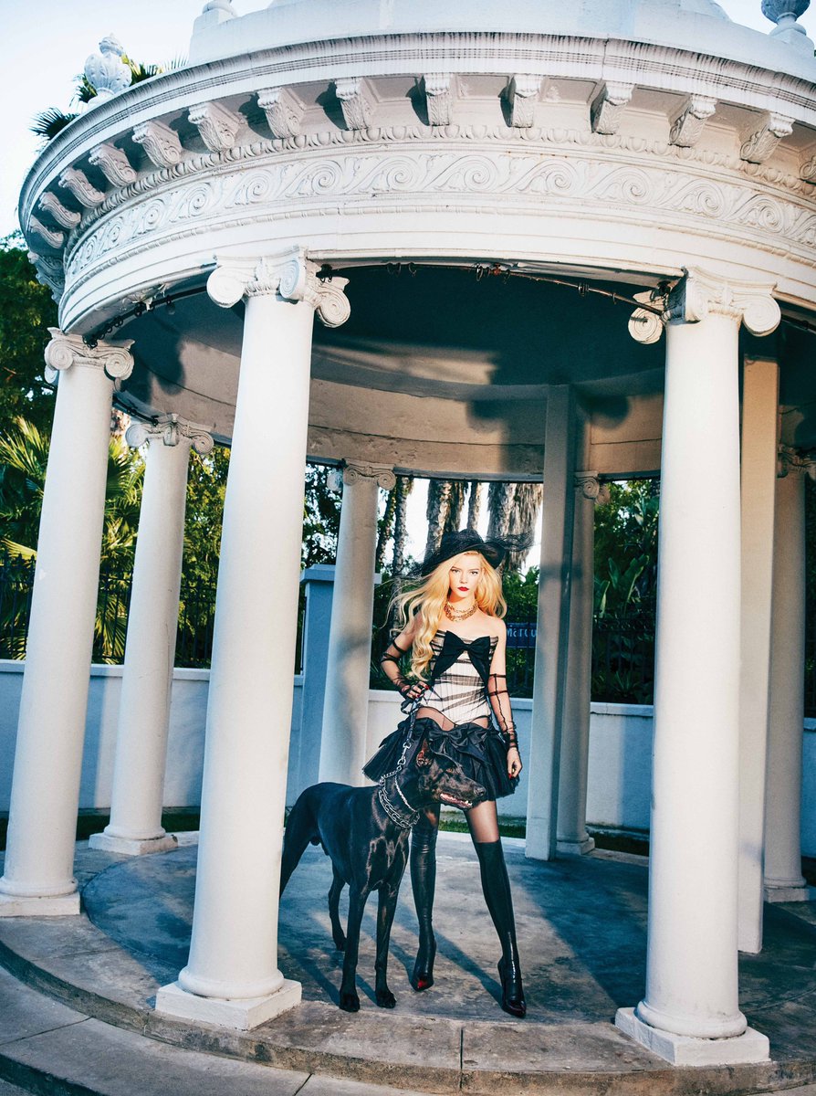 _zzzEv's tweet image. 「 大富豪のお嬢様とお付きのじいや、愛犬の強そうな犬 」にしか見えない

このコンセプト考えたの誰…天才❔❔❔