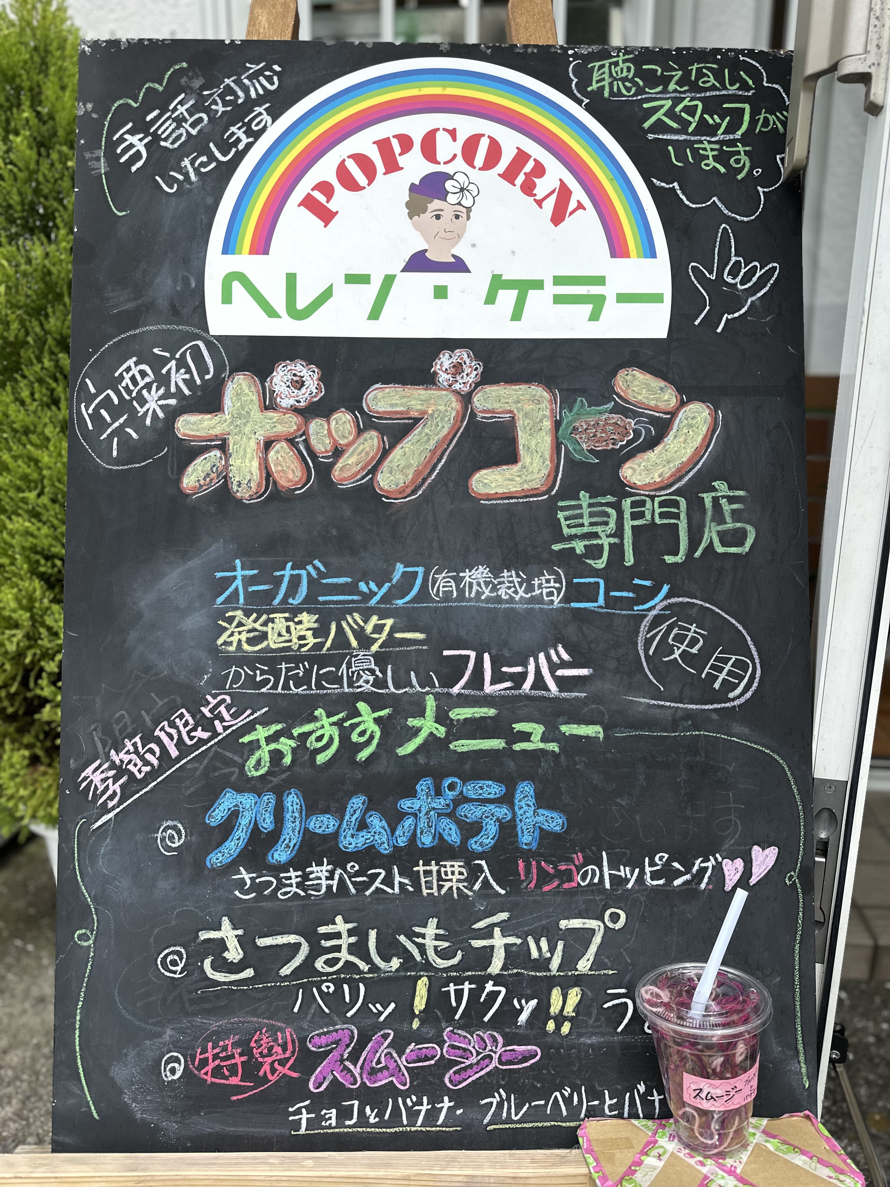 Amazon.co.jp: 愛と光への旅―ヘレン・ケラーとアン・サリヴァン