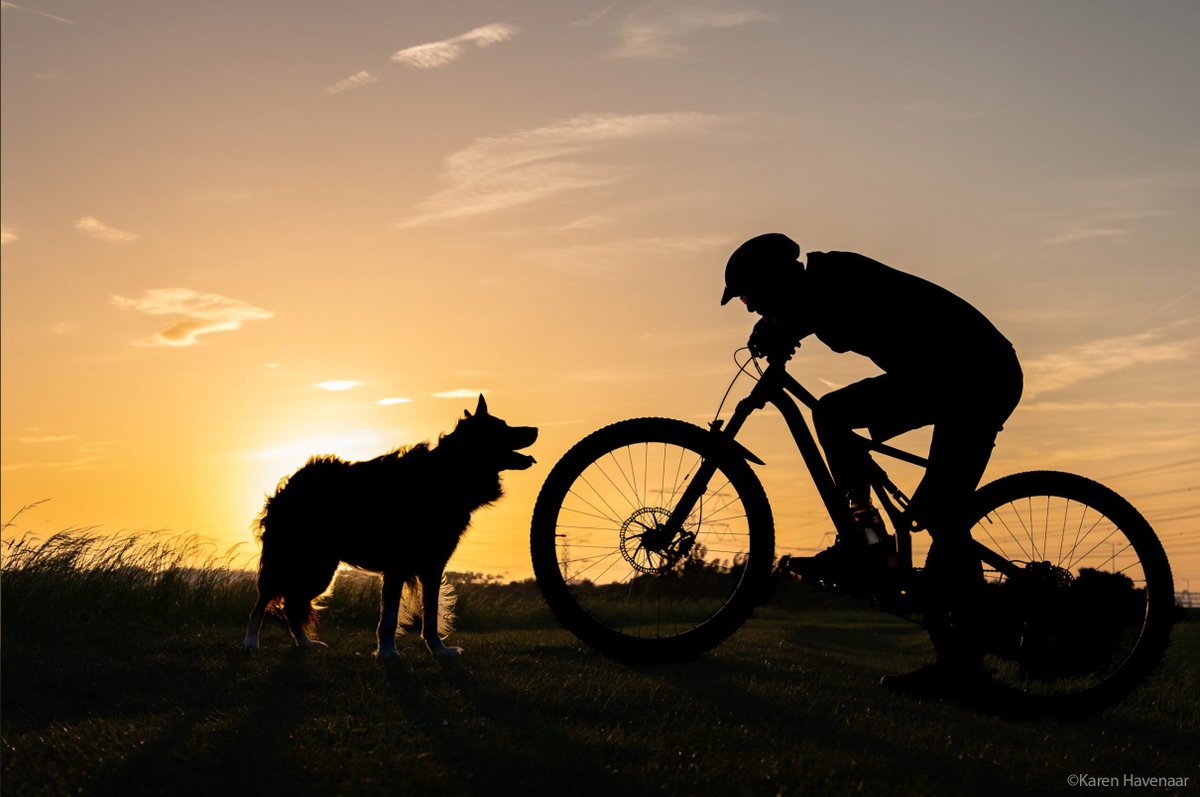 ☀️ Heading into the weekend with this breathtaking silhouette sunset photo by our talented K1 member, Karen Havenaar! 🌅 Let the vibrant colors and peaceful ambiance inspire your creativity and help you find beauty in every moment.📸💛 🤩 Submit your own photographic wonders