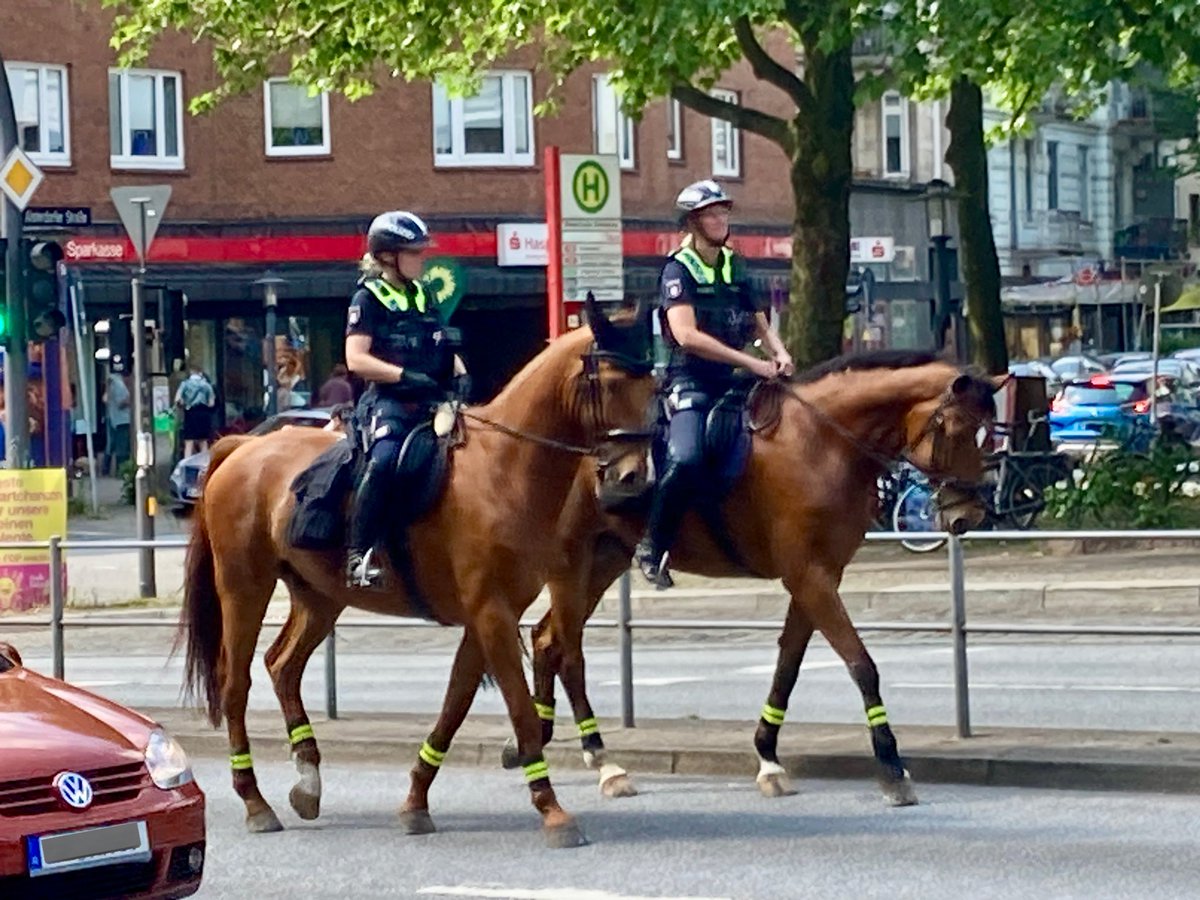 vorhin Winterhuder Marktplatz. #Polizei zu Pferde! so schön. #Hamburg
