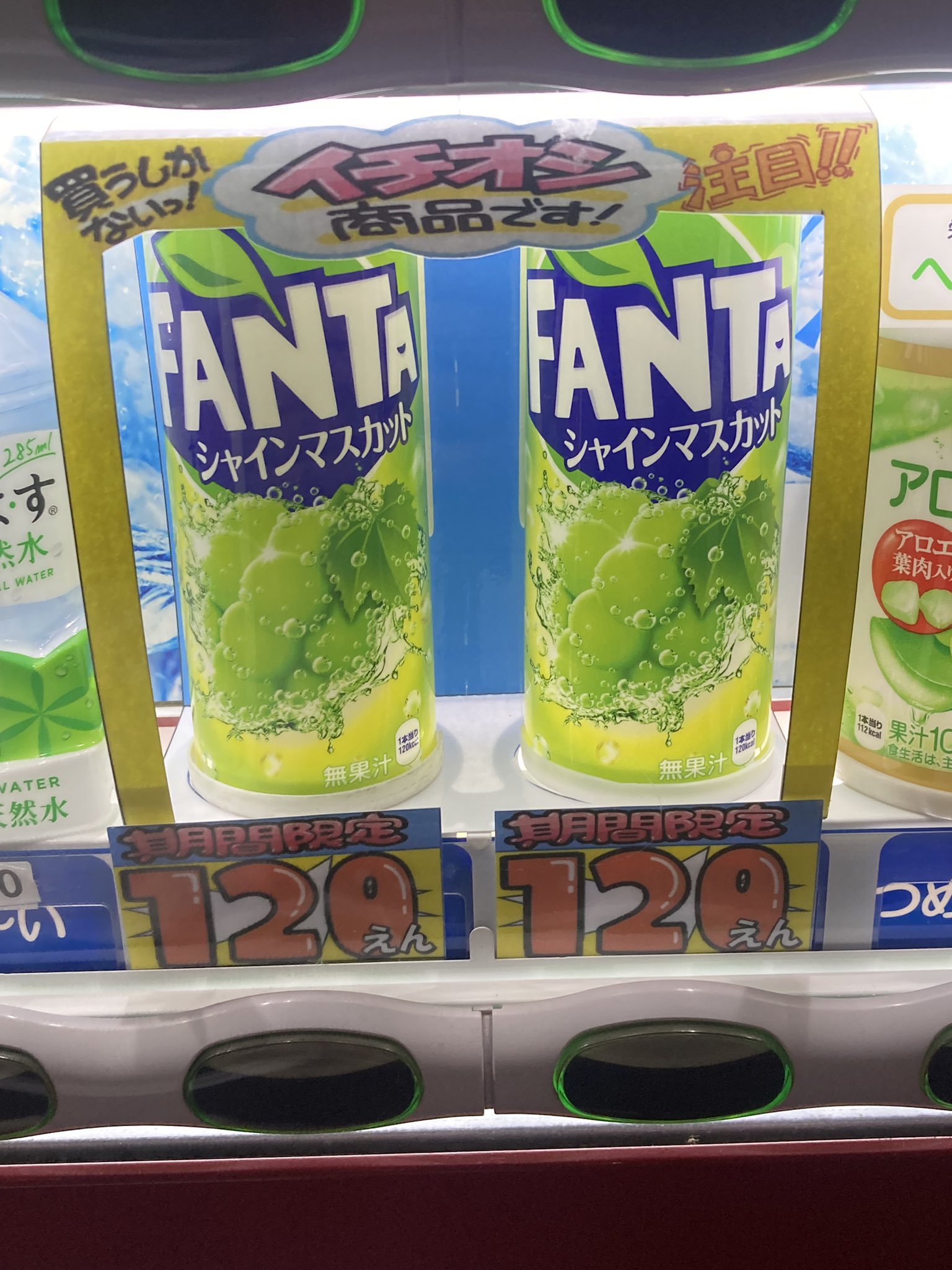 シャインマスカット ✨入荷情報✨ 道の駅柳津では、シャインマスカットの販売が開始