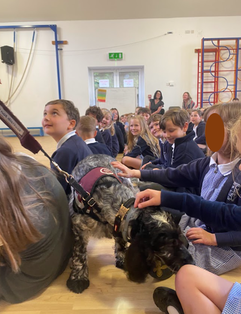 RoughamPrimary's tweet photo. Valuing Ourselves and Others Week.
Margo and Linus came to talk to KS2 about the amazing work that hearing dogs do. @TheTilian @harrison_margo https://t.co/oRralksYkt