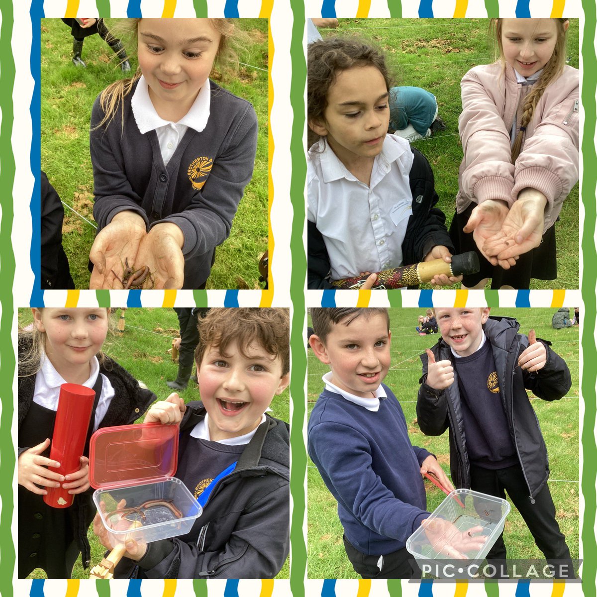 BandBschool's tweet photo. @BandBschool Teams Derwent and Foss had a go at worm charming in their forest school session this week. The champion worm charmers scored 23 worms. All worms were replaced when charmed. @eboractrust @frankie_adkins3 #bandbforestschools #bandbscience #wormcharming @FalmouthNubNews https://t.co/7lEeYrjR8T