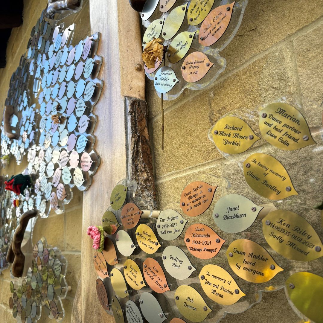 Did you know you can now make your donation for a memory leaf online? 🥰 Our Memory Tree is looking so beautiful as it glistens in the sun, shining brightly with your special and treasured memories, all whilst funding Hospice care. buff.ly/2HmTItL