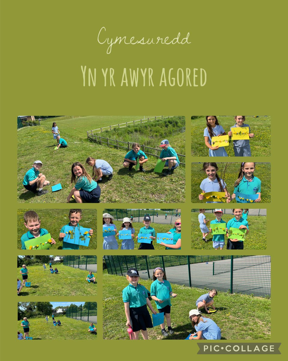 Dysgu am gymesuredd yn yr awyr agored 🌻 

Learning about symmetry outdoors 🌻