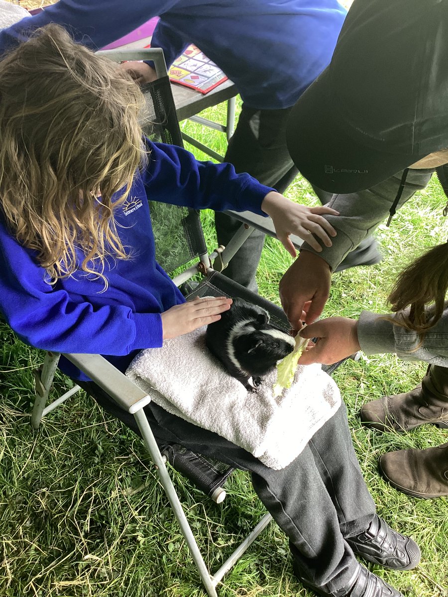 Frog class loved the farm coming to Delamere. The children were so gently with the animals. They enjoyed feeding and brushing the animals. Kaiser said " can i go back to the farm". Jacob was brave enough to hold the snake "it`s smooth".