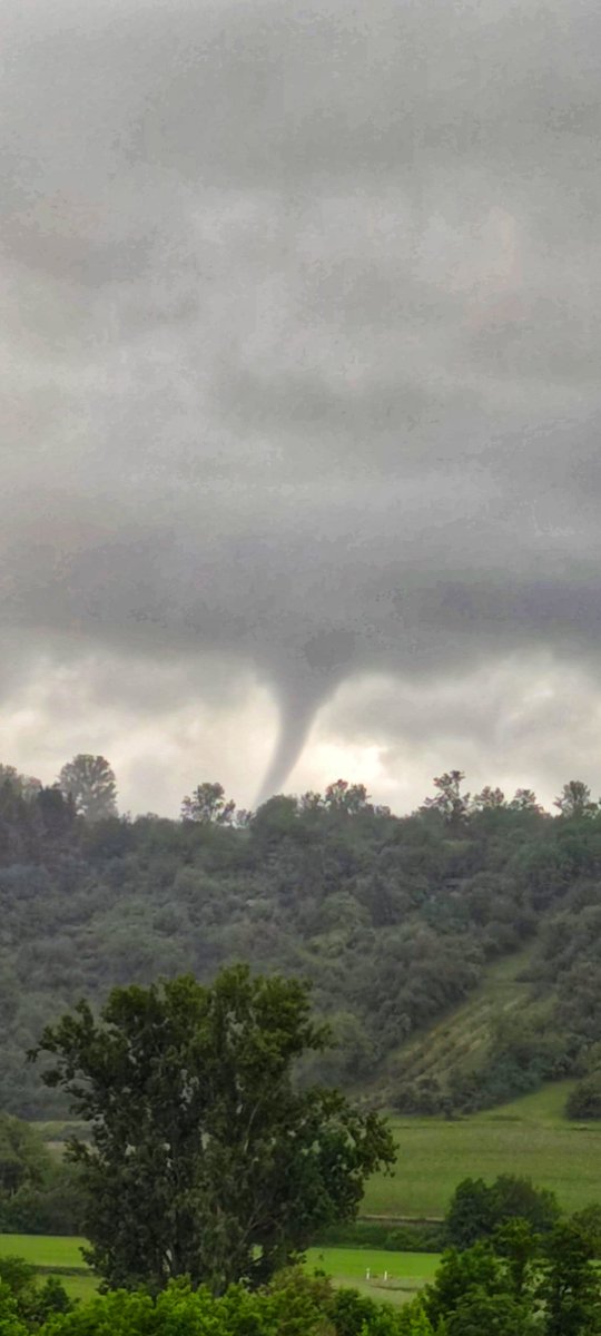 Things you don't see every day here in my hometown.