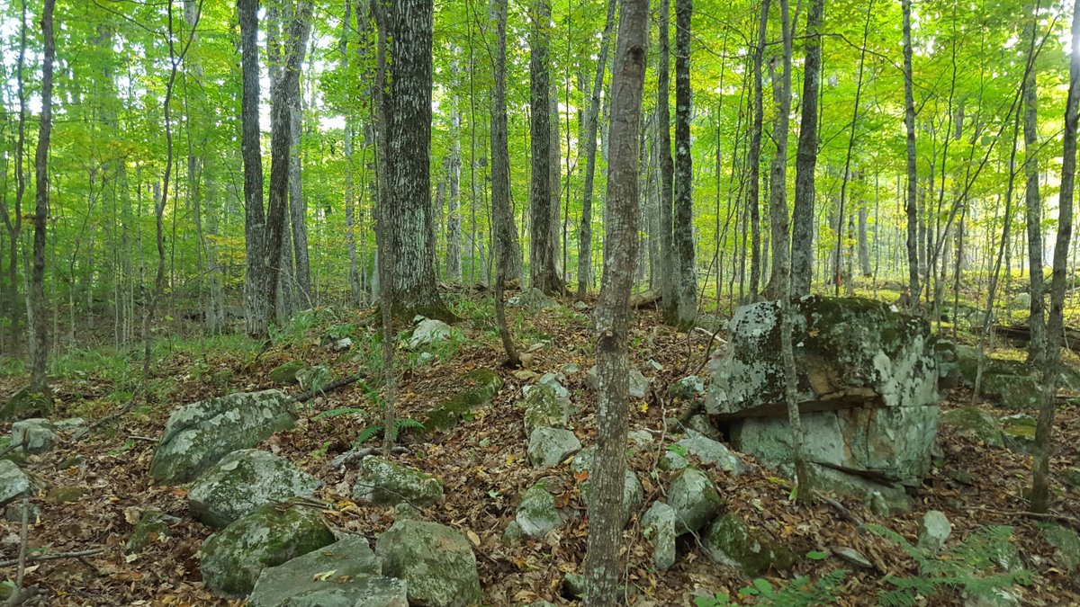 Experience the perfect balance of modern amenities and natural beauty.