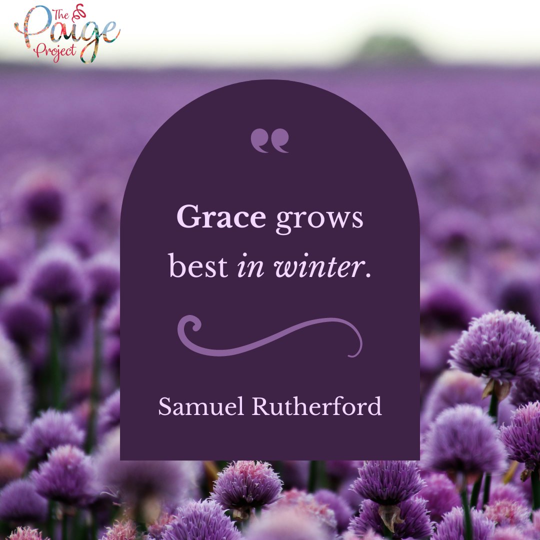 The Paige Project tweet media