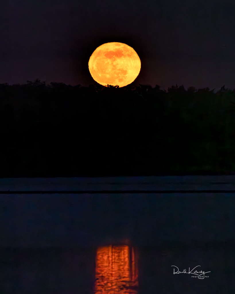 The Orange Blossom Flower Moon! - May 23rd 2022 - Moonrise 1 hour later than May 22nd. Look at that color, go her coming up low on the horizon. - @spann @MattDevittWX @PaulFox13 @Skilling