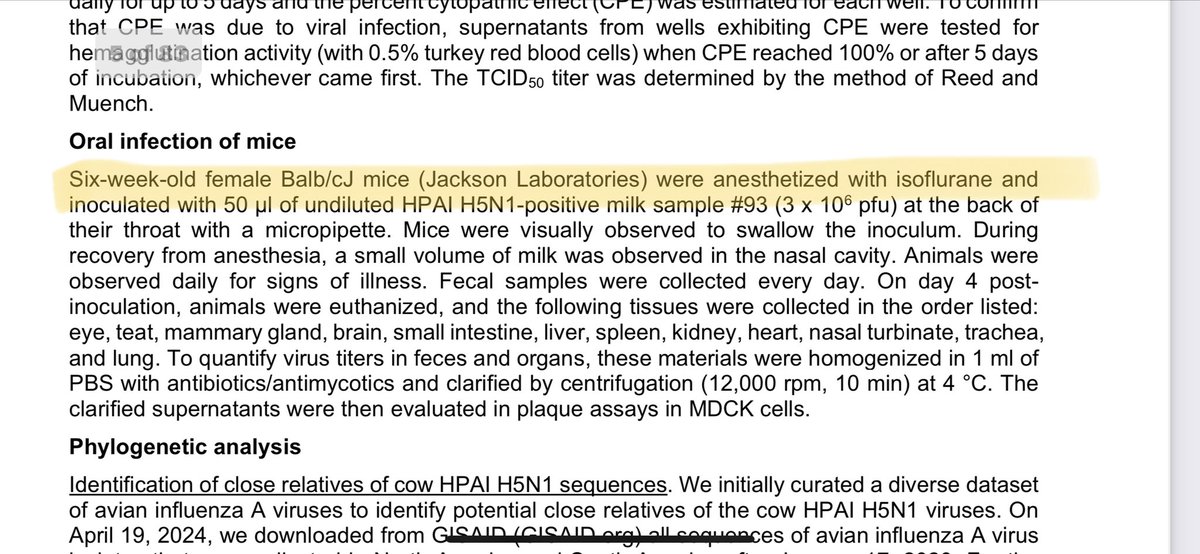 ValZimmer2's tweet image. Stop listening to misinformation champions like Eric. These mice did not drink milk. This milk was heated so killed the bacteria. Was not filtered so dead bacteria still present. They added the a culture of canine kidney cells or embryonic eggs, with penicillin, amphotericin,…
