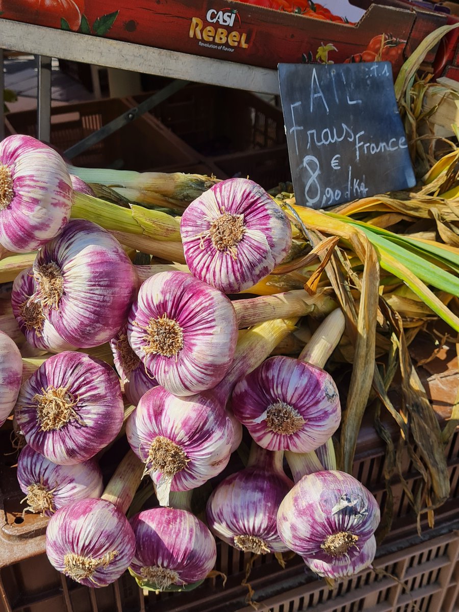 Balade au marché du Cours Saleya dans le Vieux Nice 
Les pissaladière, la tourte de blette et les pichades, l'ail frais 
#Nice06 #NICE #Ilovenice #NiceCotedazur #nissalabella   #tourisme #VieuxNice #marché