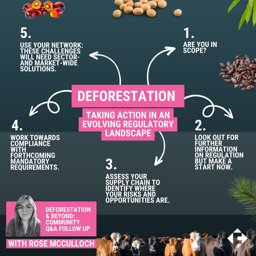 Deforestation &amp; Beyond 🌲 | FFM Community Q&amp;A Follow-Up
📣 Further information on Regulation is coming but it’s still possible to make a start – there are lots of resources and help available. The recording is now available in the portal. lnkd.in/eChdg8uA