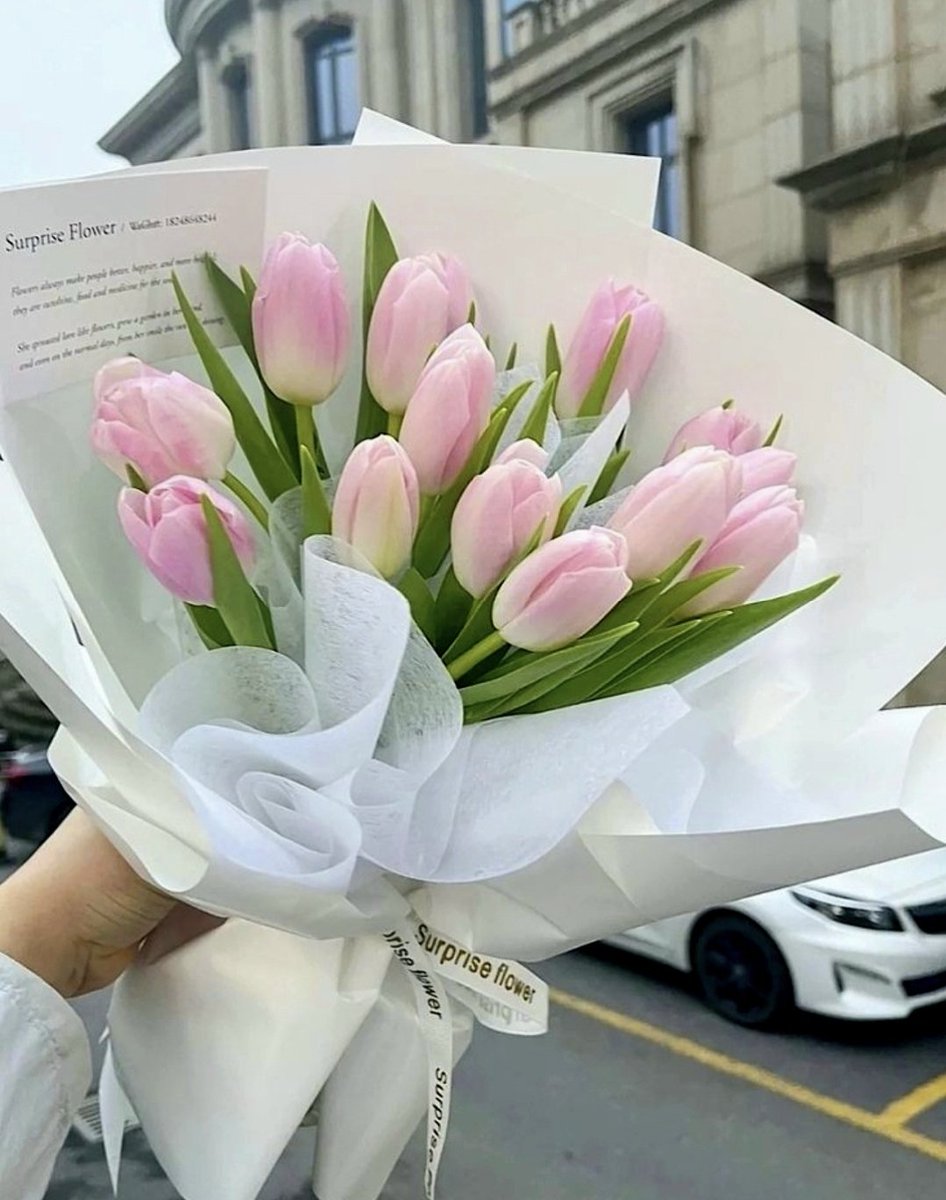 pink tulips