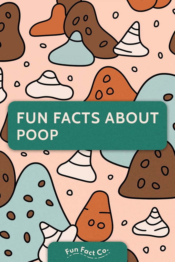 FunFactCo's tweet photo. Did You Know: The average person produces about 0.25 to 1 pound of poop per day.

You should keep in mind that every body is different, and everyone's “poundage” is also different. A healthy deposit for one person will look different depending on your age, weight and body size. https://t.co/ciW5tFg7bl