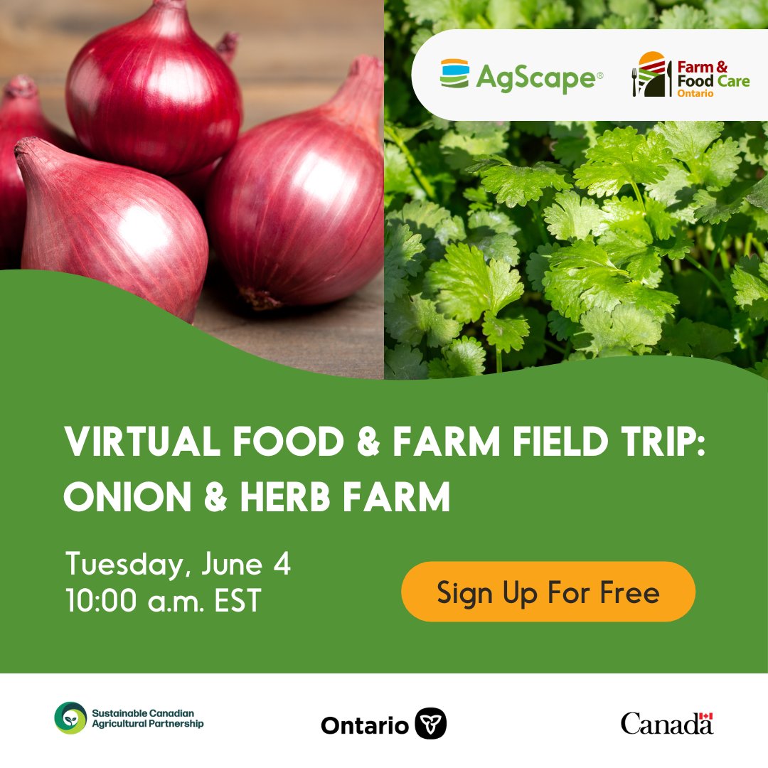 On Tuesday, June 4, at 10:00 a.m. EST, celebrate Local Food Week 2024 and take your students on a free Virtual Food & Farm Field Trip to learn about the fascinating world of onion and herb farming at Brenn-B Farms. Register today! ow.ly/9Cm350RIqgE @FarmFoodCareON