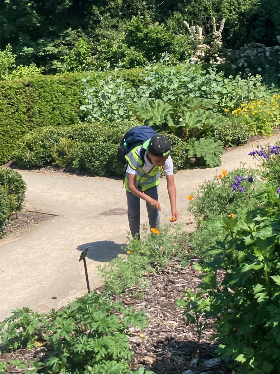 ARKConway's tweet image. Year 3 went on a trip to Kew gardens! We had a fantastic workshop all about bees - we even got the chance to pollinate flowers with paintbrushes!