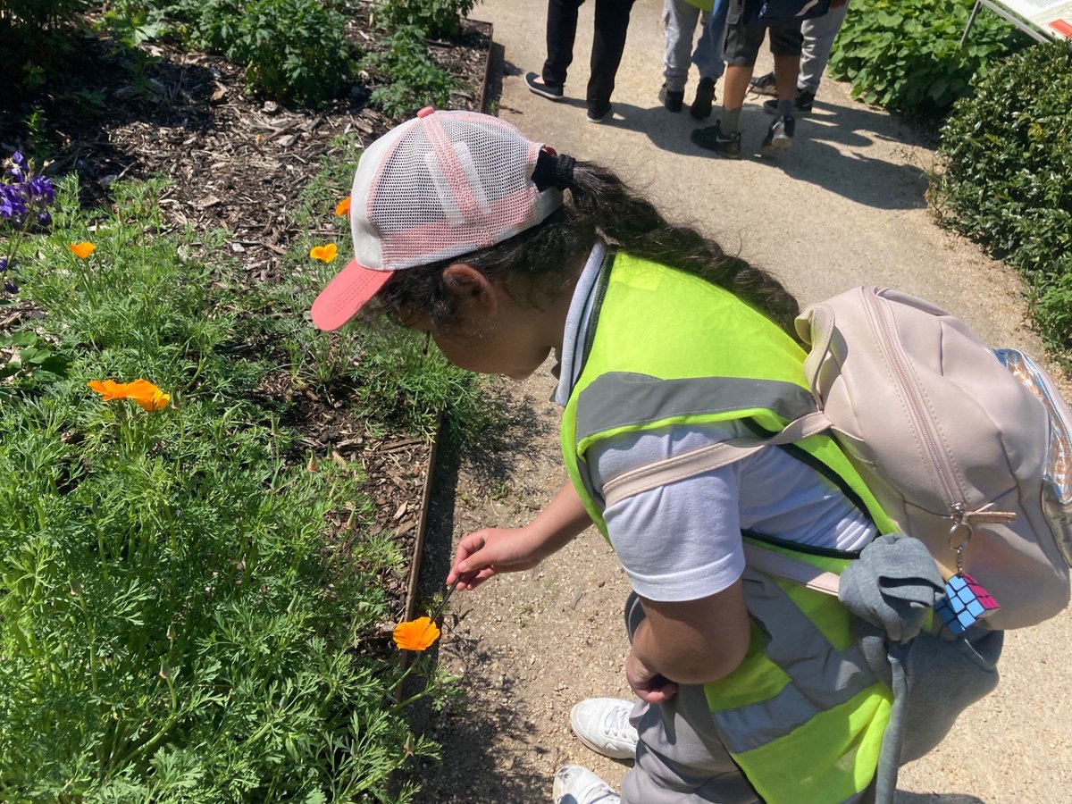 ARKConway's tweet image. Year 3 went on a trip to Kew gardens! We had a fantastic workshop all about bees - we even got the chance to pollinate flowers with paintbrushes!