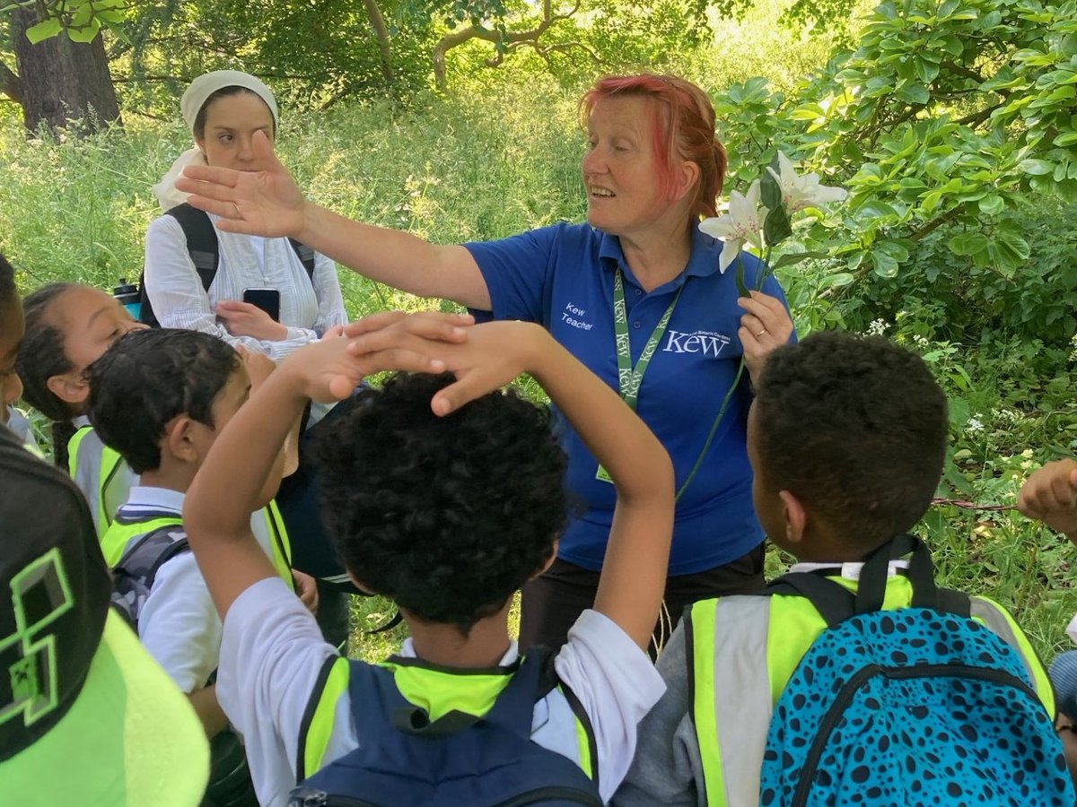 ARKConway's tweet image. Year 3 went on a trip to Kew gardens! We had a fantastic workshop all about bees - we even got the chance to pollinate flowers with paintbrushes!
