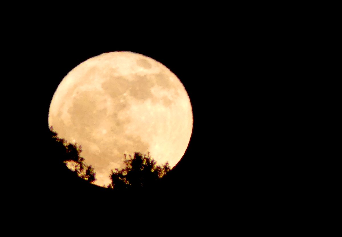 meiganalua's tweet photo. La luna llena de anoche
#hacerfotos #ThePhotoHour #StormHour #PhotoOfTheDay  #photography  #TwitterPhotography  #ThePhotoMode #NaturePhotography 
#themoonpicsth #MoonHour https://t.co/NMyBGuARmW