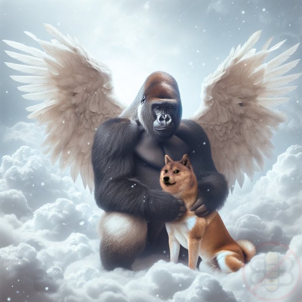 NewsDigitall_'s tweet photo. #AHORATRISTENOTICIAS | 👨🏻💻
#hoy , el mundo despide con tristeza a #Kabosu , la entrañable perrita japonesa que dio vida al icónico #memeDoge .
📲 | #ElonMust en #Twitter ( X ) OG Doge ha ascendido al cielo para estar con su amigo Harambe.
( Not_the_Bee )
#NewDigital https://t.co/P8m5dfUlvX