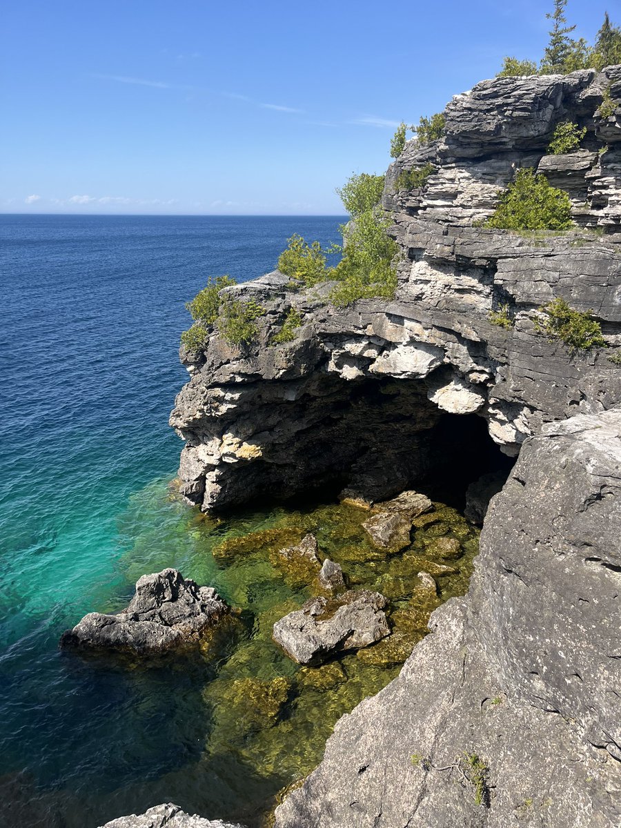 Stephanie Gardner tweet media