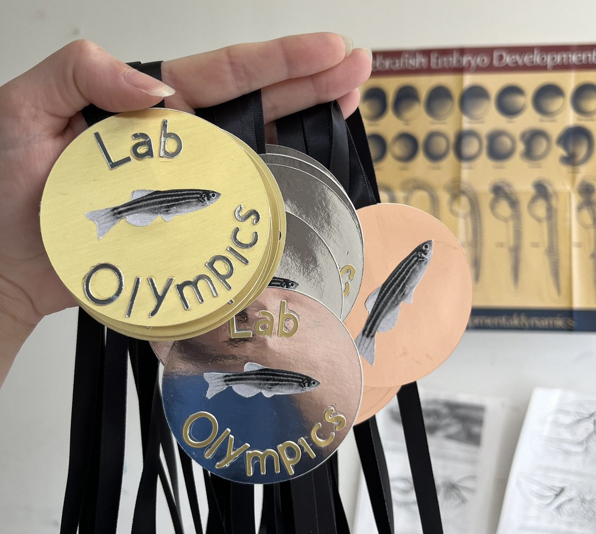 My unsolicited advice for choosing a postdoc mentor is to pick someone who will enthusiastically agree to letting you run an end of the year Lab Olympics to celebrate graduation 🏆 may the best @PrinceLab_UofC team win 🥇