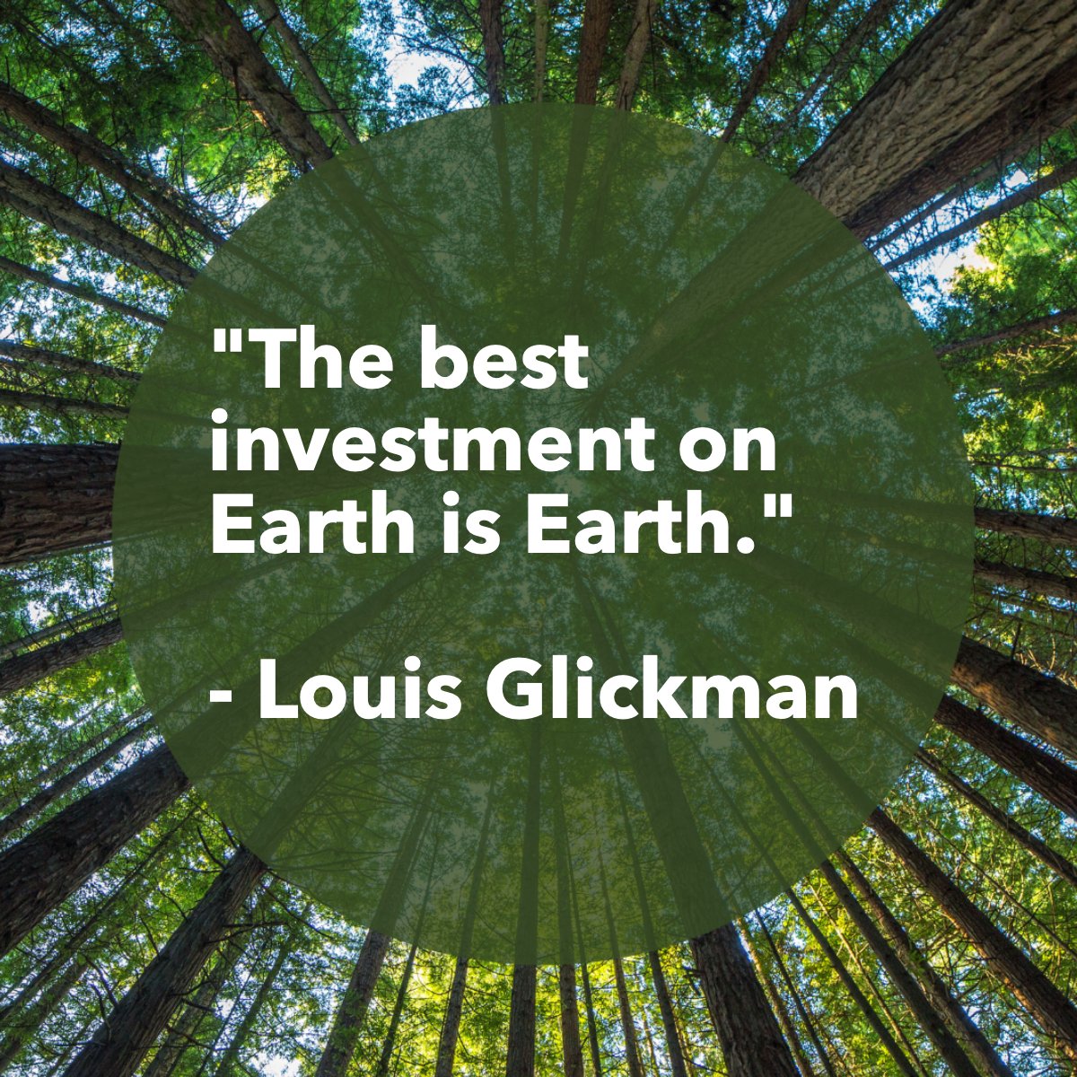 'The best investment on Earth is Earth.'
―Louis Glickman. 🌎

#earthfocus #earthmover #investinyourfuture #saveearth