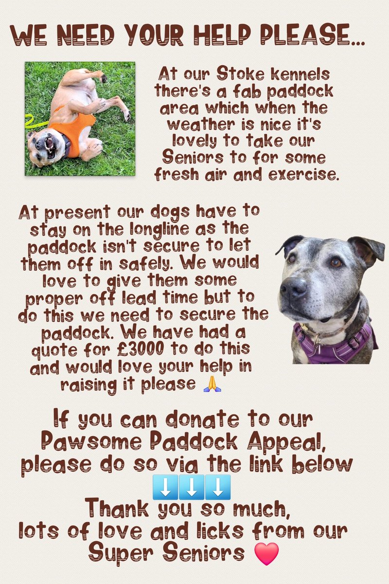 Our Stoke Kennels just wanted to pop by to give & update on their Pawsome Paddock Appeal 😍 Firstly, they want to send a HUGE thank you to everyone who has donated ❤️ Currently we are looking quotes & hope to get the work started as soon as possible ❤️ donate.giveasyoulive.com/campaign/fenci… ❤️