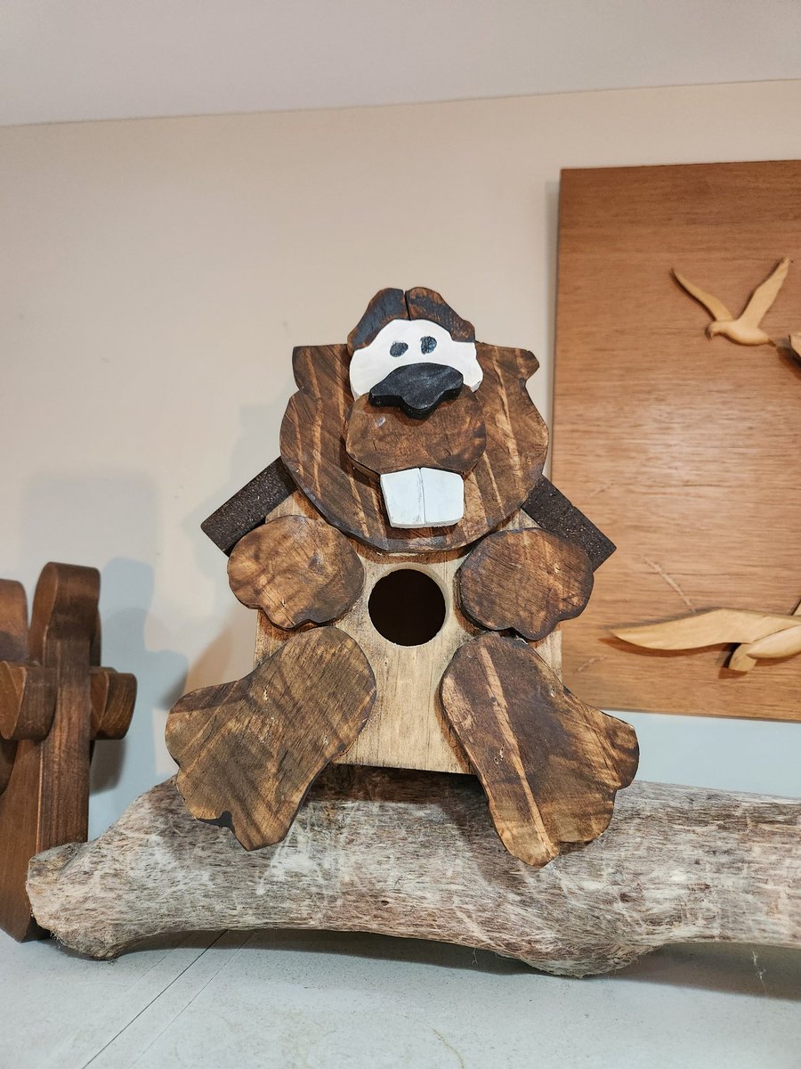 My son made a Beaver Shaped Birdhouse in Woodshop
Trust me, when I heard the description, I was a little afraid, lol