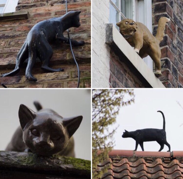 The buildings of #York are adorned with the statues of 22 #cats. A #medieval practice to protect the city from rats & evil spirits, & to bring good luck, most of the statues have been in place since the 1980s, inspired by the late architect Tony Adams. #FolkloreSunday #Caturday
