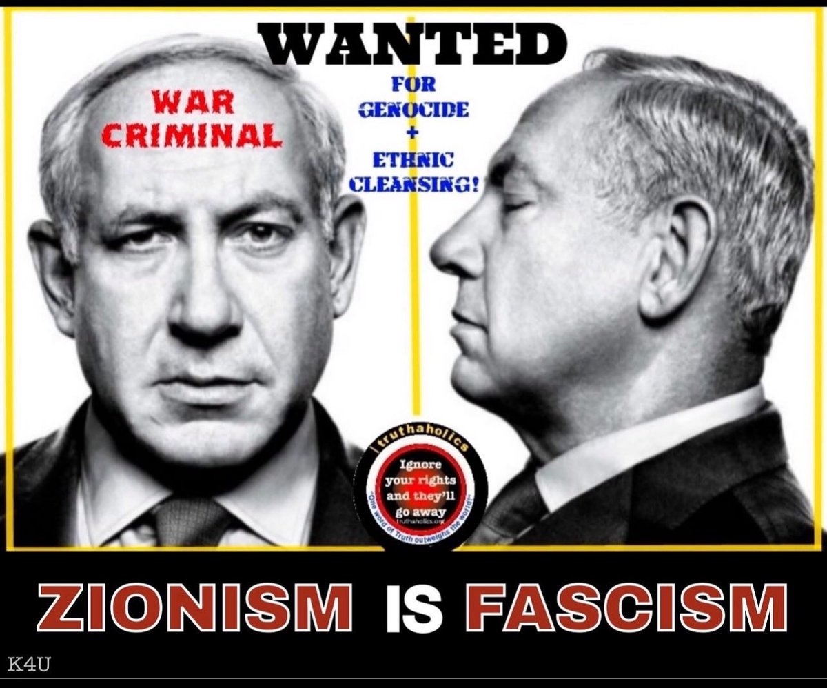 @_TheRealKalypso Israel under Netanyahu is not a Democracy it's a Zionist Fascist Theocracy 👿👎🏾 Zionism sees any Palestinians including children as vermin 🤬