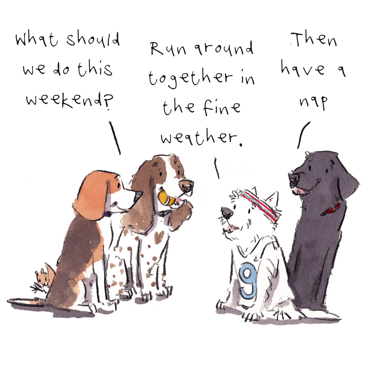 Good night, lovely people and lovely dogs.
The team have got a great plan for their weekend.
Sleep well and sweet dreams.
I hope that your weekend is wonderful. 
#hoorayfordogs #beagle #springer #westie #labrador #redsquirrel