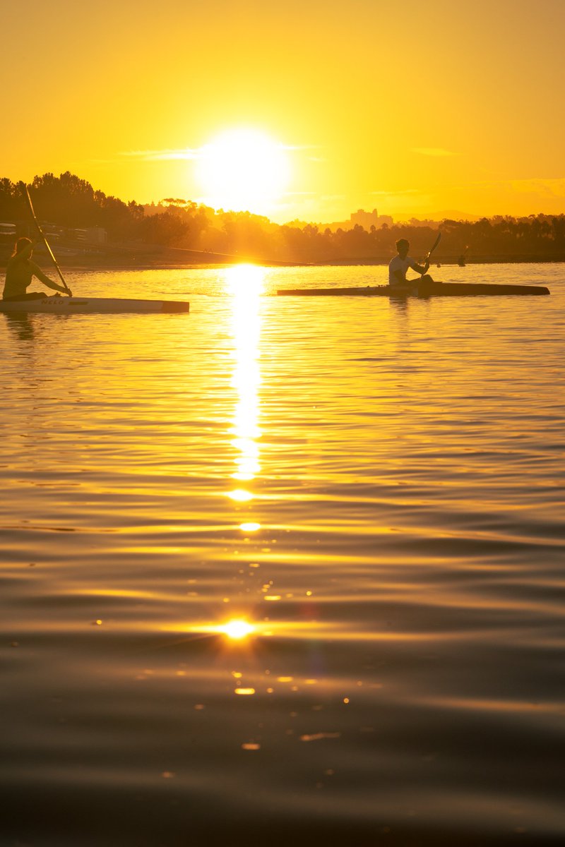 TheShutterPrince tweet media