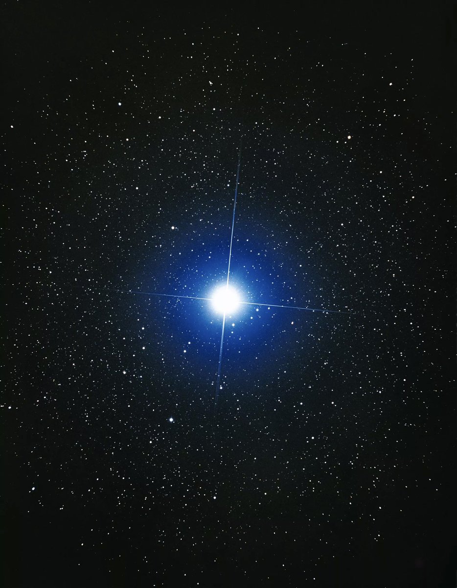 Sirius, the brightest star in the night sky ✨