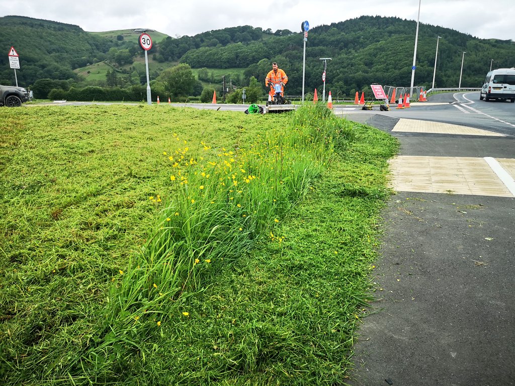 There goes the amazingly diverse wildflower verge. Whyyyyyyyy???? Come on <a href="/AlunGriffiths_/">Griffiths</a>. I thought this area was literally seeded as a meadow to mitigate for the Dyfi Bridge construction? Why is this being cut in May??? It would be great to know the reasoning. Diolch.