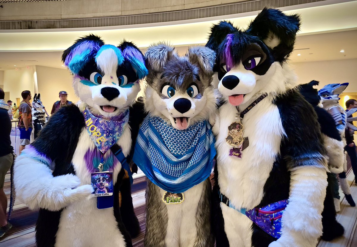 Hope Collie π FWA (@hopecollie) on Twitter photo #FursuitFriday Getting to hang out with new collie friends was one of the best parts of FWA! πΆππ
πΆ <a href="/colliebutt/">Colin Collie</a> & Qlue Collie #FursuitFriday Getting to hang out with new collie friends was one of the best parts of FWA! πΆππ
πΆ <a href="/colliebutt/">Colin Collie</a> & Qlue Collie
