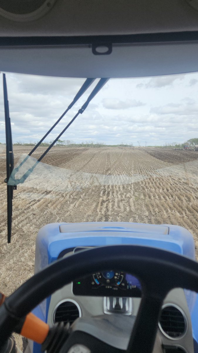dellseeds's tweet photo. #plant24 is complete https://t.co/KntTUVBCde