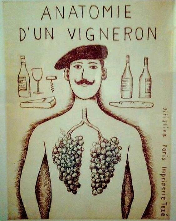 A winemaker's body 💪🍇🍷 #wine #winelover #winelovers #winemaker