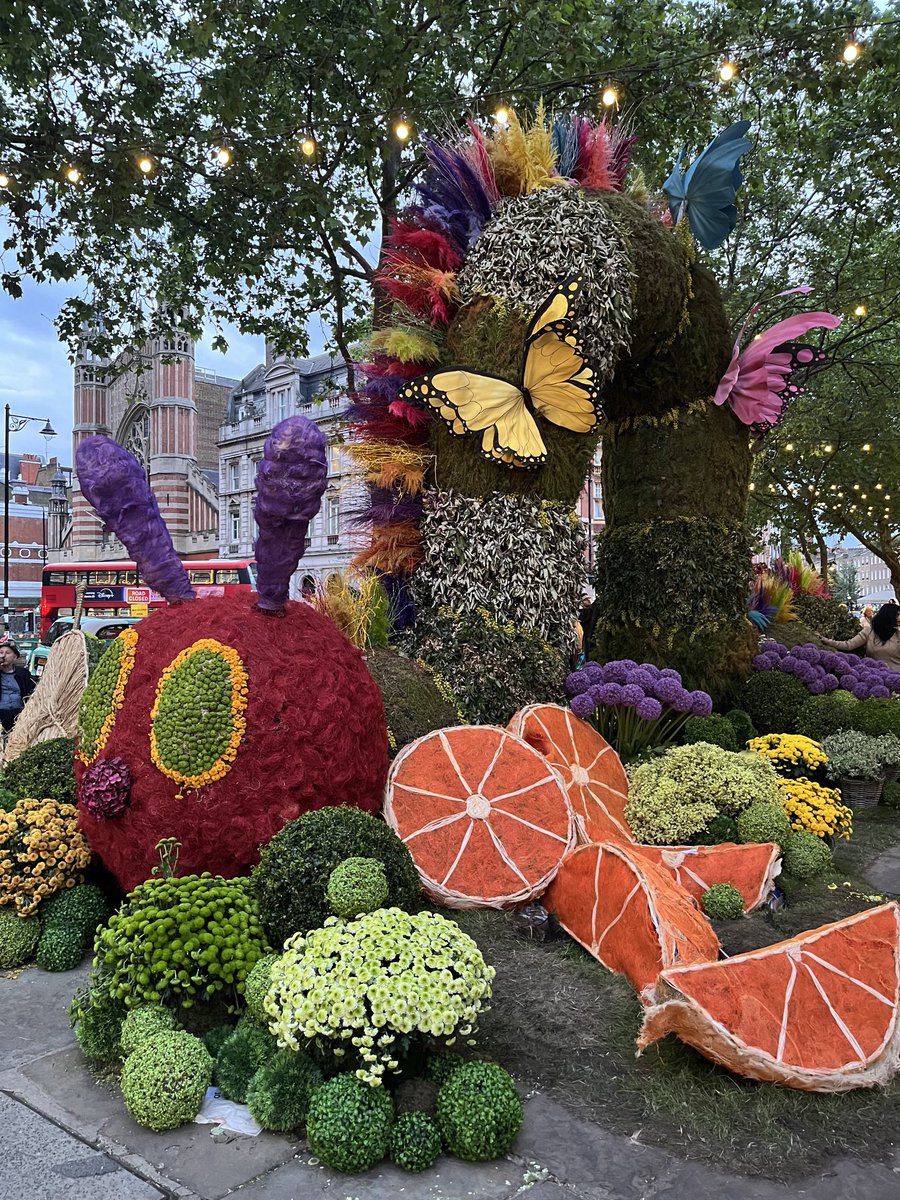 Cherry 🍒 tweet media