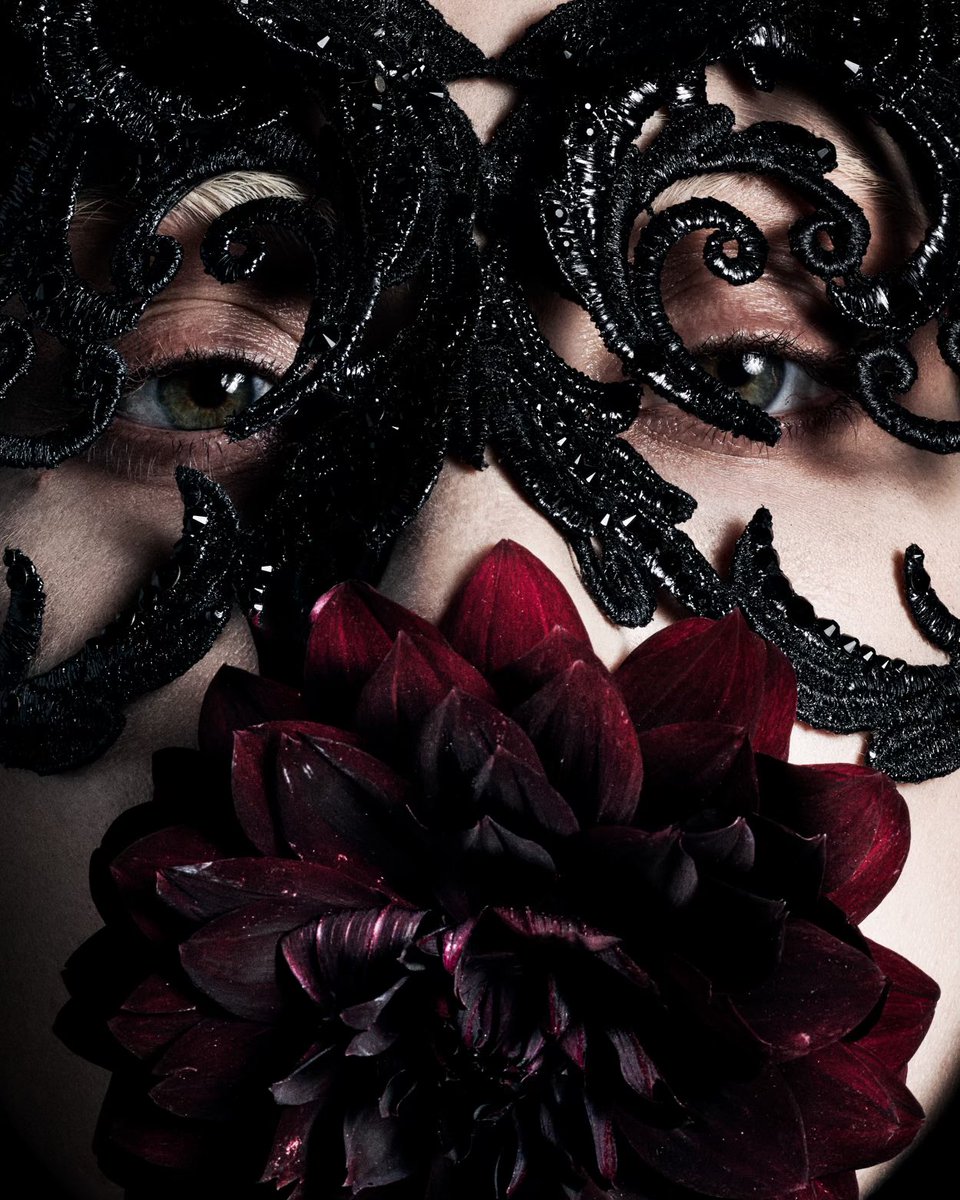 Lady Gaga tweet media