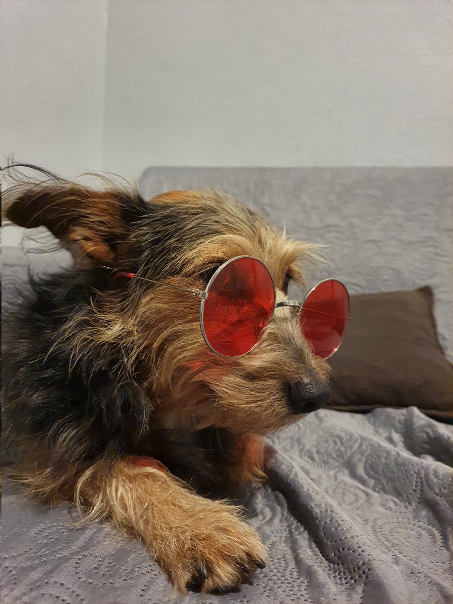 ___m00n's tweet image. 