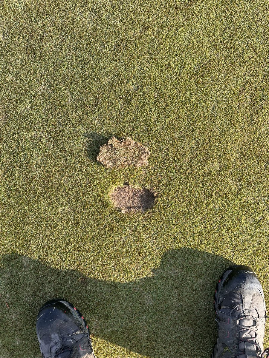 First divot out of a green of the year 🙃