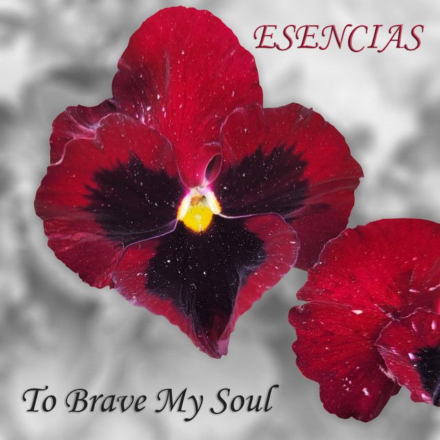 Find A Song
about nostalgia and epiphanies
@tobravemysould - Esencias
🎧 buff.ly/4bBDPc3 
#altrock #nostalgia #indiemusic #indiemusicblog #music #musicblog #indie #alternativemusic #alternative #findasong