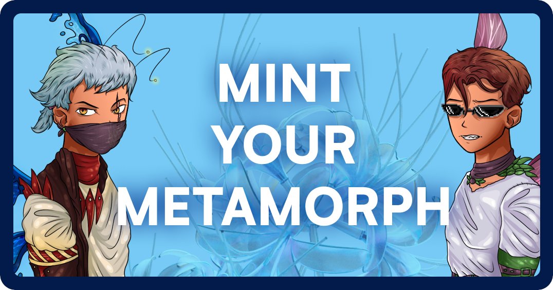 Metamorph Club tweet media