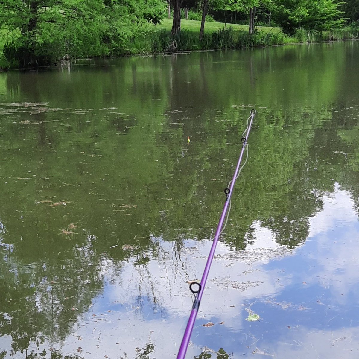 daniellagoldsm's tweet image. Sometimes you need to just unwind.... #zen #fridayfishing