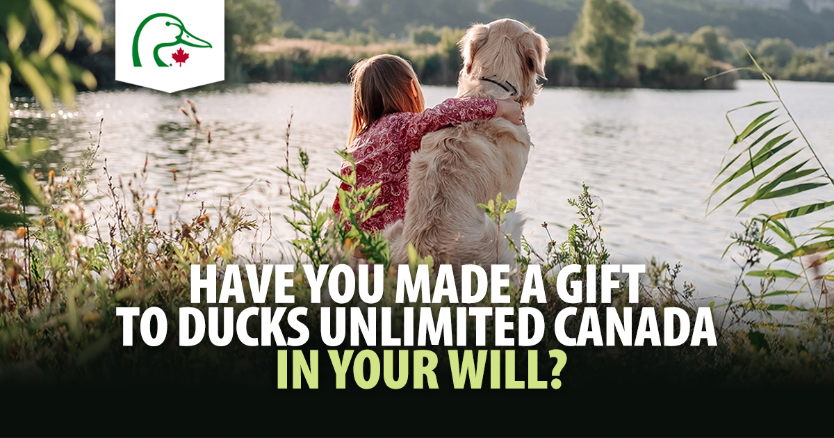 Have you made a gift to Ducks Unlimited Canada in your will? If so, please let us know! Or, if now feels like the right time to begin planning your conservation legacy, we encourage you to discuss with our planned giving managers. ➡️ loom.ly/heF0JoU #LeaveALegacy